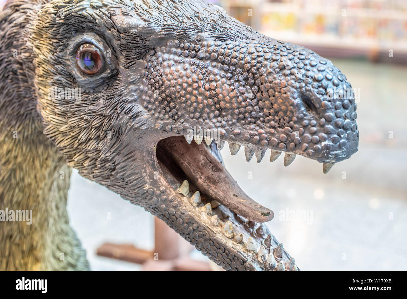 Lodz, Polen, Mai 2019: Velociraptor in Shopping Entertainment Center Mall SUKCESJA, Velociraptor Raptor ist von der Gattung theropoder Theropode Saurier Stockfoto