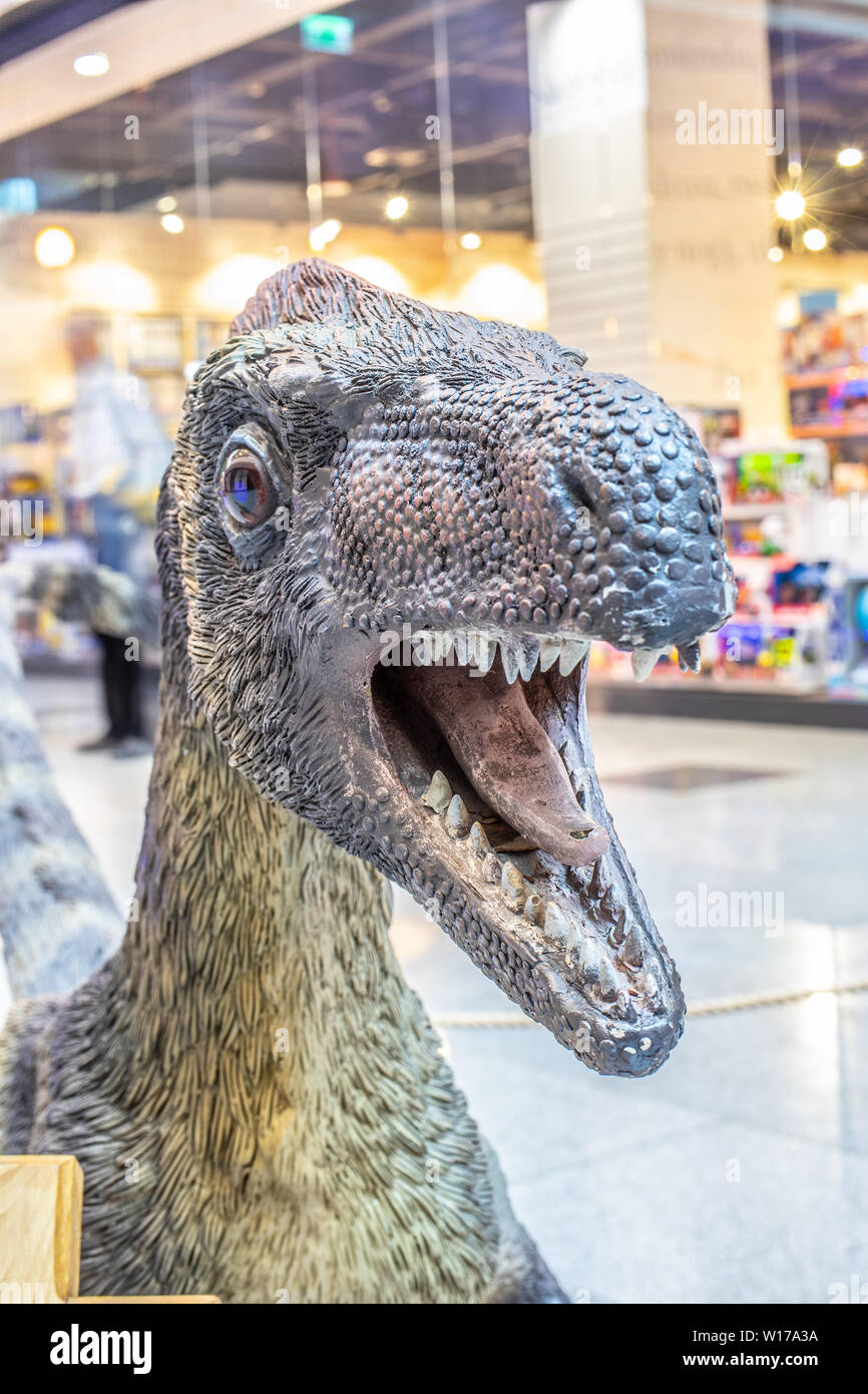 Lodz, Polen, Mai 2019: Velociraptor in Shopping Entertainment Center Mall SUKCESJA, Velociraptor Raptor ist von der Gattung theropoder Theropode Saurier Stockfoto