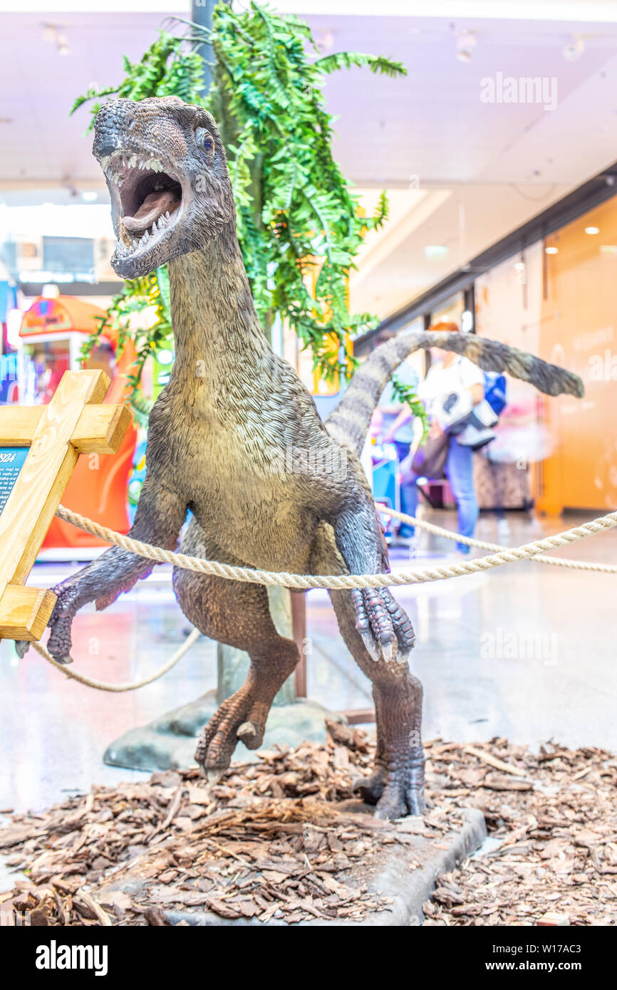 Lodz, Polen, Mai 2019: Velociraptor in Shopping Entertainment Center Mall SUKCESJA, Velociraptor Raptor ist von der Gattung theropoder Theropode Saurier Stockfoto