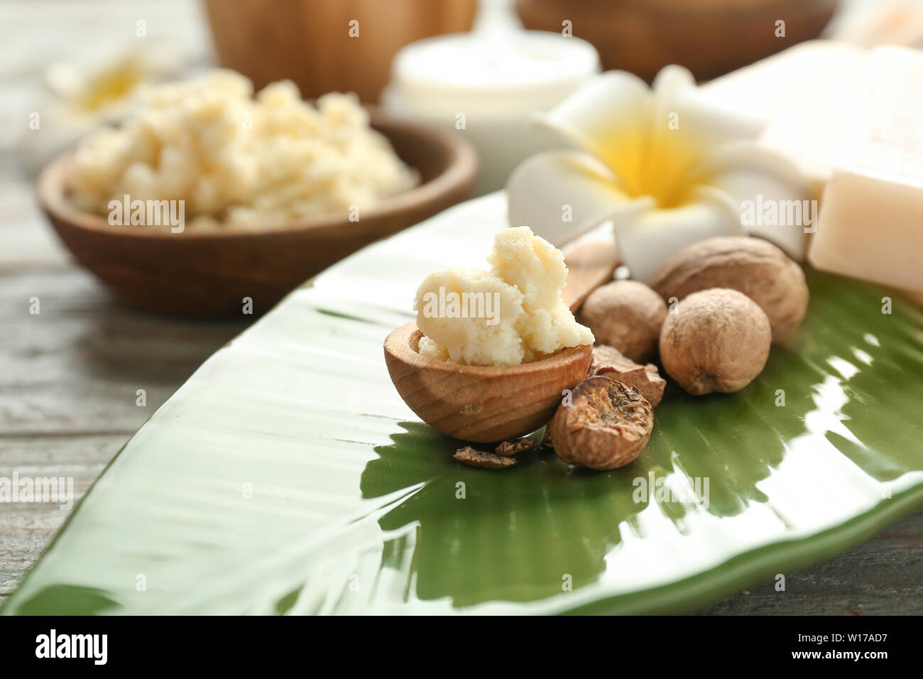 Schüssel mit Shea Butter, Nüsse und Blüten auf dem Teller Stockfoto