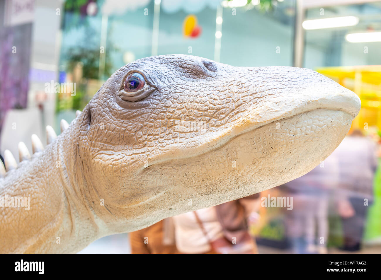 Lodz, Polen, Mai 2019: Diplodocus dino in Einkaufs- und Unterhaltungszentrum SUKCESJA, Diplodocid Sauropod Dinosaurier, Longus, Familie Diplodocida Stockfoto