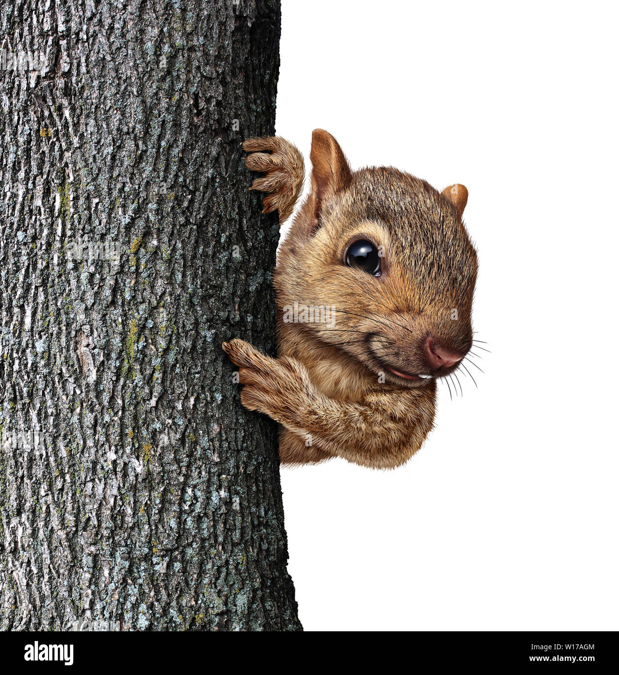 Eichhörnchen hinter einem Baum, Rinde mit realistischen Fell und Pfoten als freundlich niedliche pelzige Nager Charakter als eine wichtige und besondere Botschaft. Stockfoto