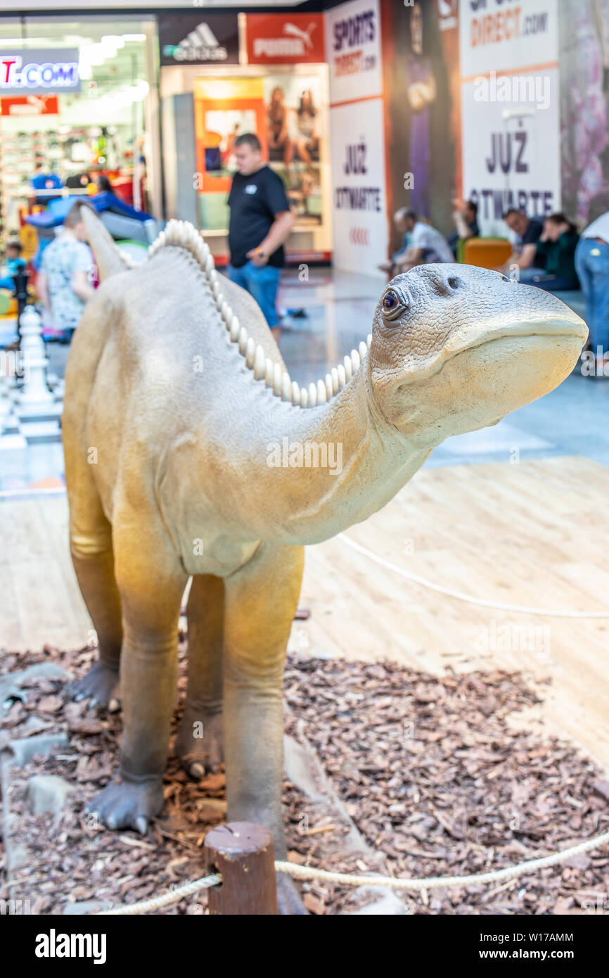 Lodz, Polen, Mai 2019: Diplodocus dino in Einkaufs- und Unterhaltungszentrum SUKCESJA, Diplodocid Sauropod Dinosaurier, Longus, Familie Diplodocida Stockfoto