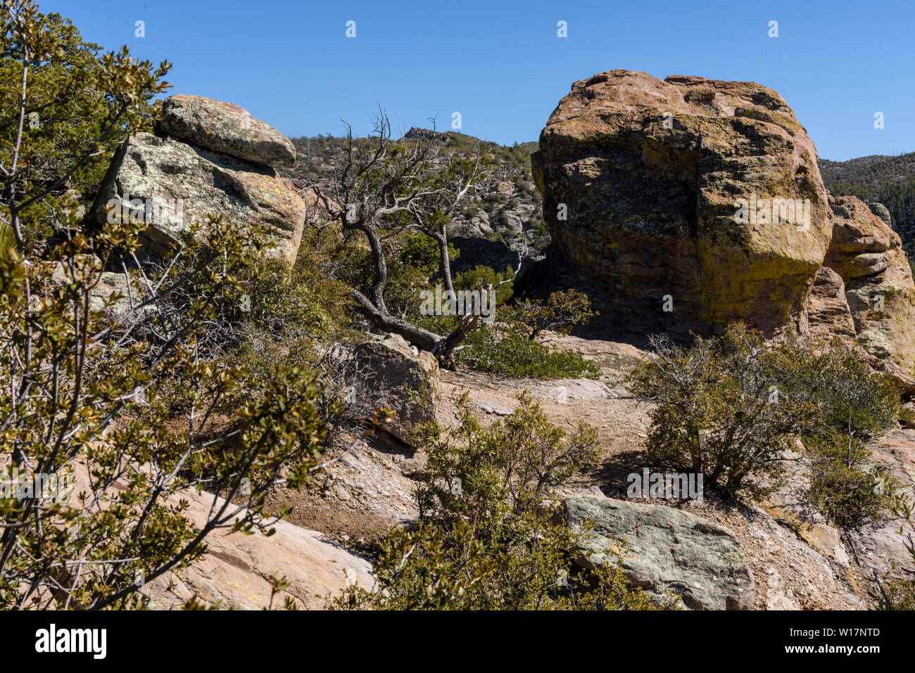 Rock Pinnacles leisten grandiose Aussicht auf schneebedeckte Berge und im Tal in der Chiricahua National Monument im südöstlichen Arizona. Stockfoto