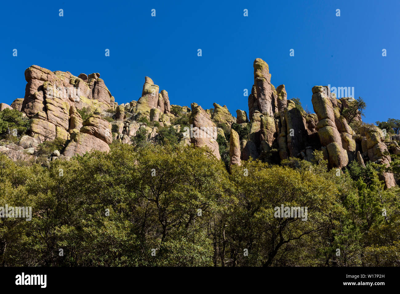 Orgelpfeife Bildung bei der Chiricahua National Monument im südöstlichen Arizona ist ein Bereich, in dem die Felsen sind "orgelpfeife Formation". Stockfoto