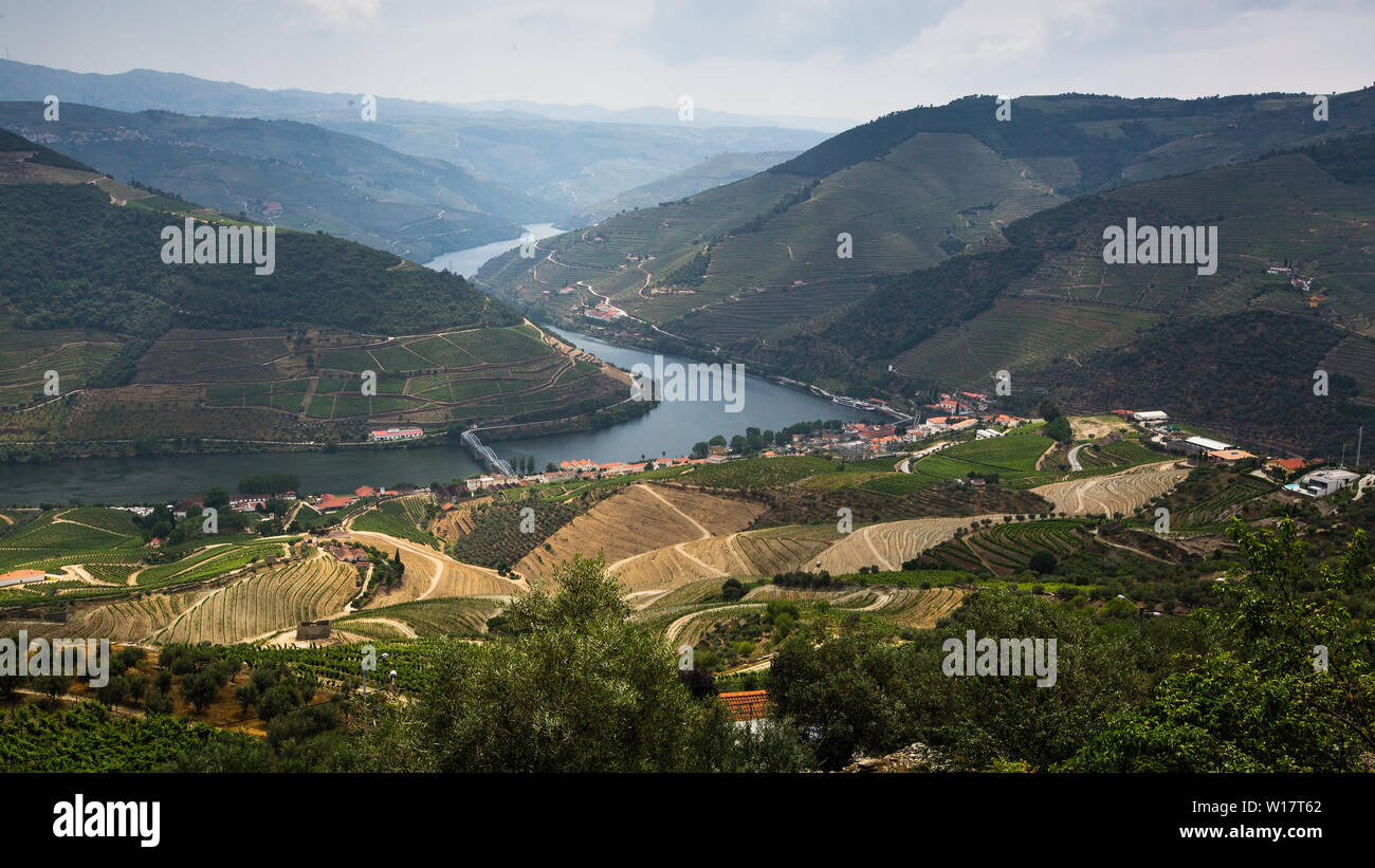 Panoramablick auf den Fluss Douro Tal mit Weinbergen in den Hügeln, Porto, Portugal. Stockfoto