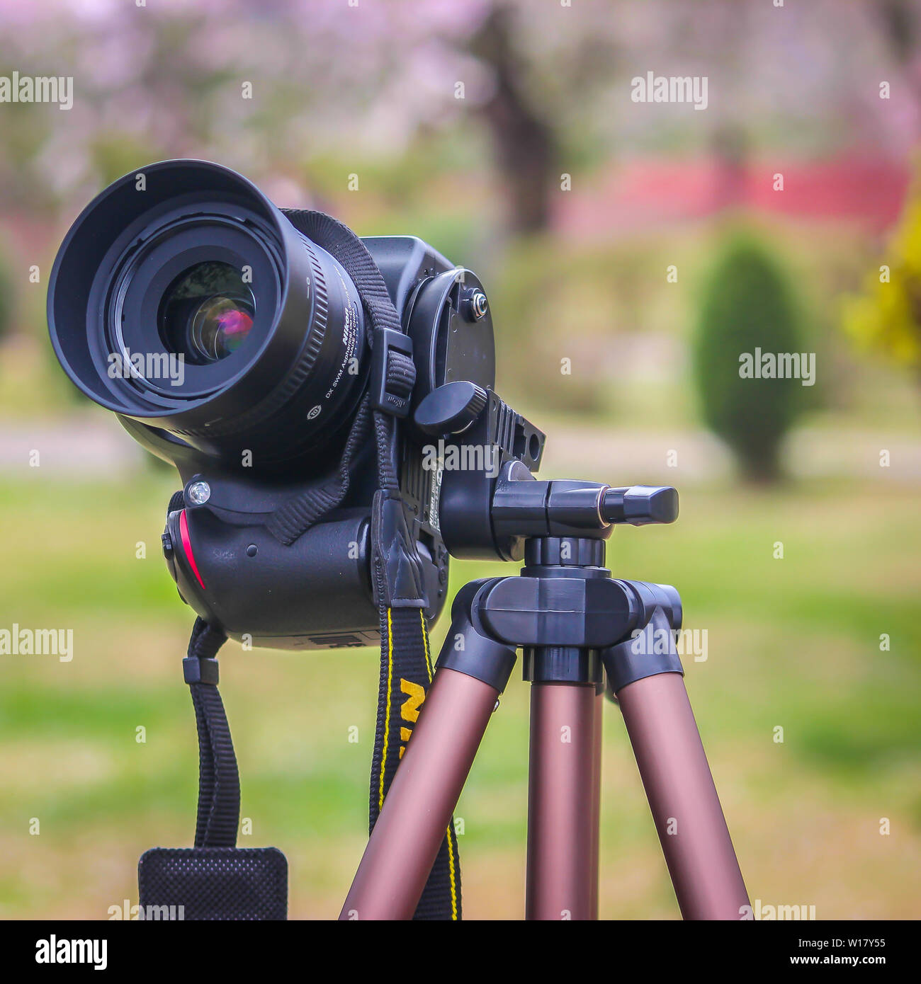 Srinagar, Jammu und Kaschmir, Indien - vom: 15. Juni 2019: eine Nikon D3200 DSLR-Kamera auf einem Stativ montiert. Unscharf Hintergrund. Stockfoto