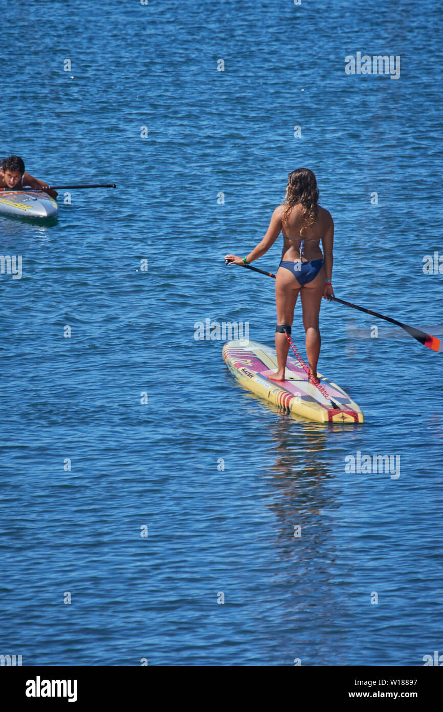 Paddleboarder im Jachthafen von Funchal, Madeira, Portugal, Atlantik Stockfoto