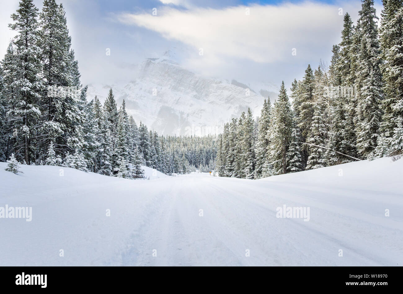 Verschneite Straße in einem bewaldeten Berg sceney im Winter Stockfoto