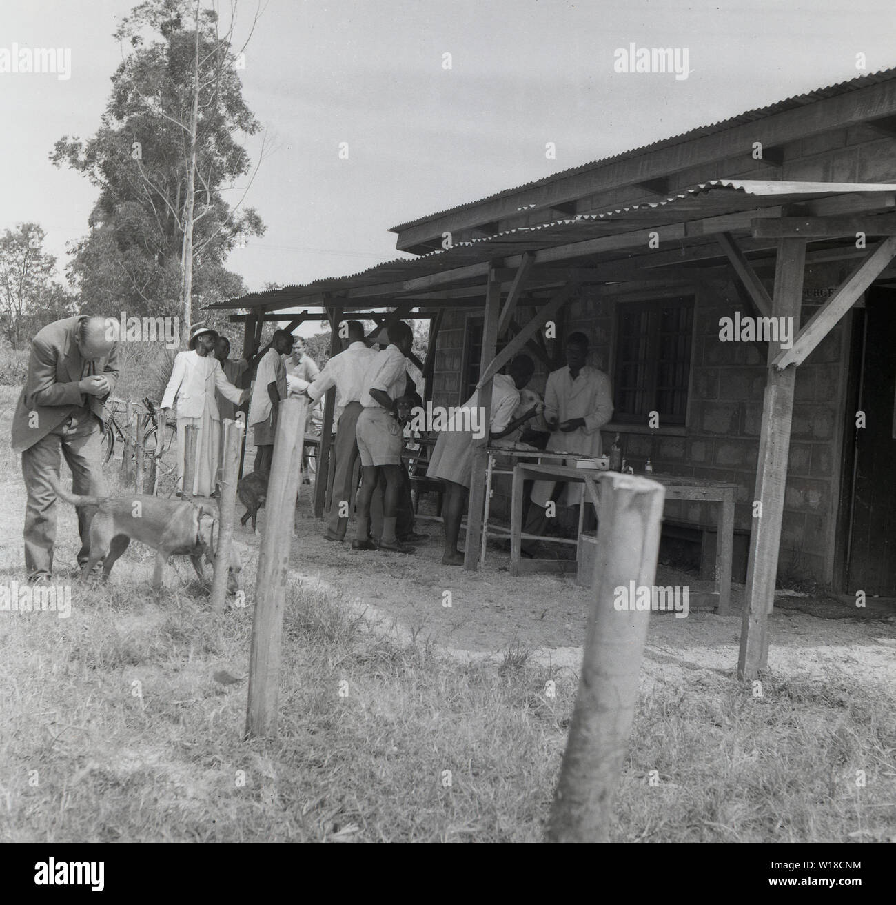 1960, historische, im ländlichen Uganda, der lokalen Bevölkerung die Teilnahme an einer Tollwut Control Center oder Klinik, wo Einheimische und wilde Hunde geimpft werden, um die Ausbreitung der Tollwut zu verhindern, ist eine schwere Krankheit für den Menschen durch den Kontakt mit infizierten Hunden, insbesondere in Afrika. Stockfoto