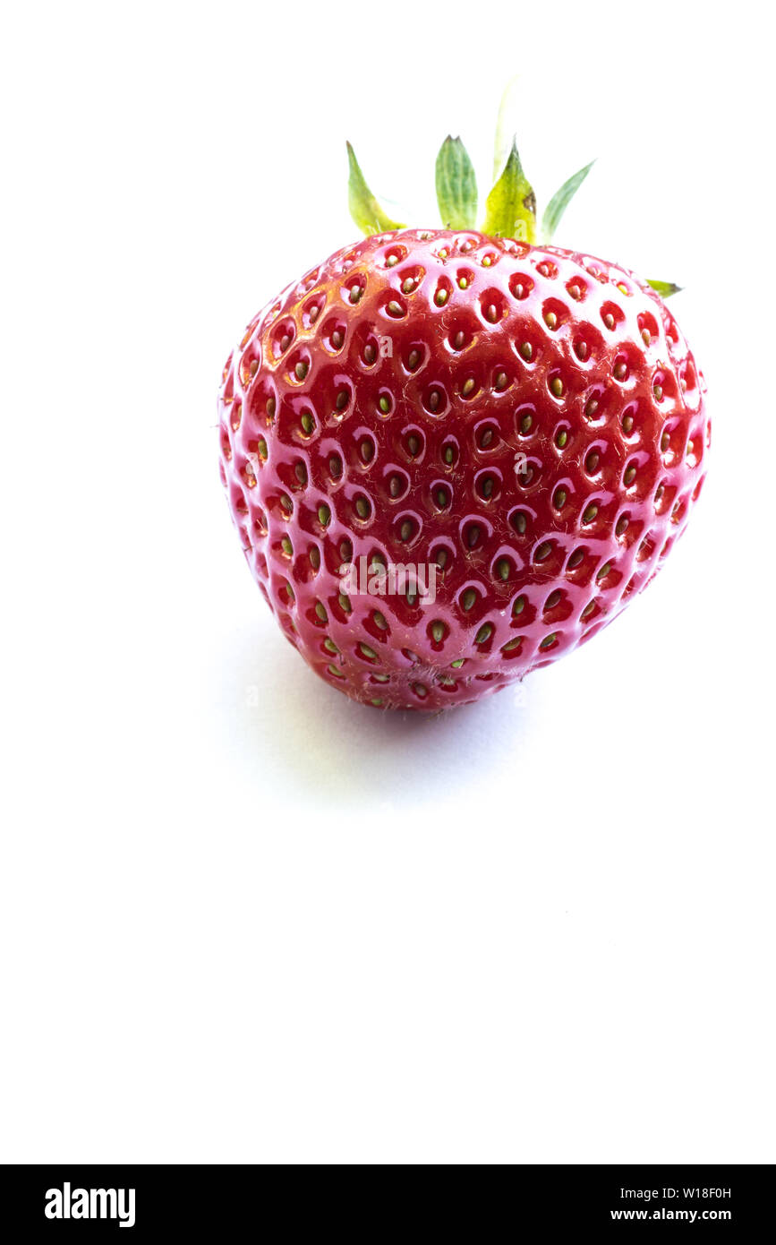 High key Bild eines schönen reife Erdbeere auf weißem Hintergrund Stockfoto