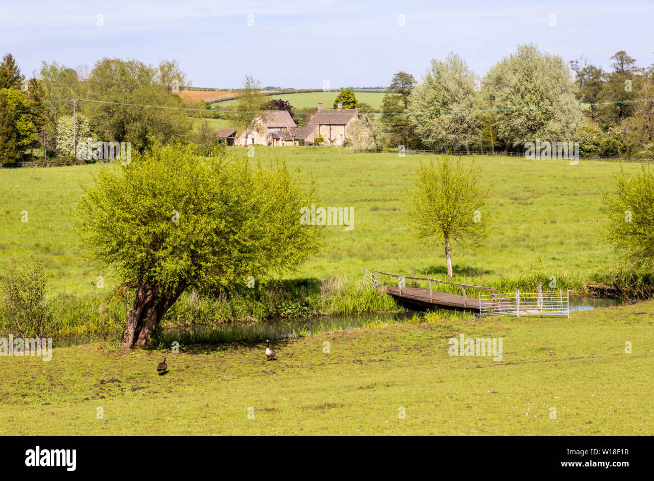Blick über den Fluss Windrush zu Barrington Mühle aus dem Cotswold Dorf Little Barrington, Gloucestershire, Großbritannien Stockfoto