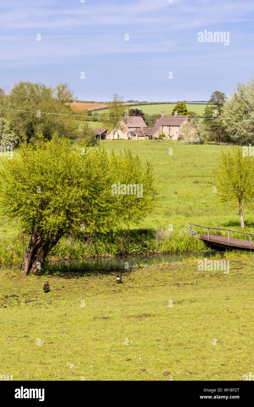 Blick über den Fluss Windrush zu Barrington Mühle aus dem Cotswold Dorf Little Barrington, Gloucestershire, Großbritannien Stockfoto