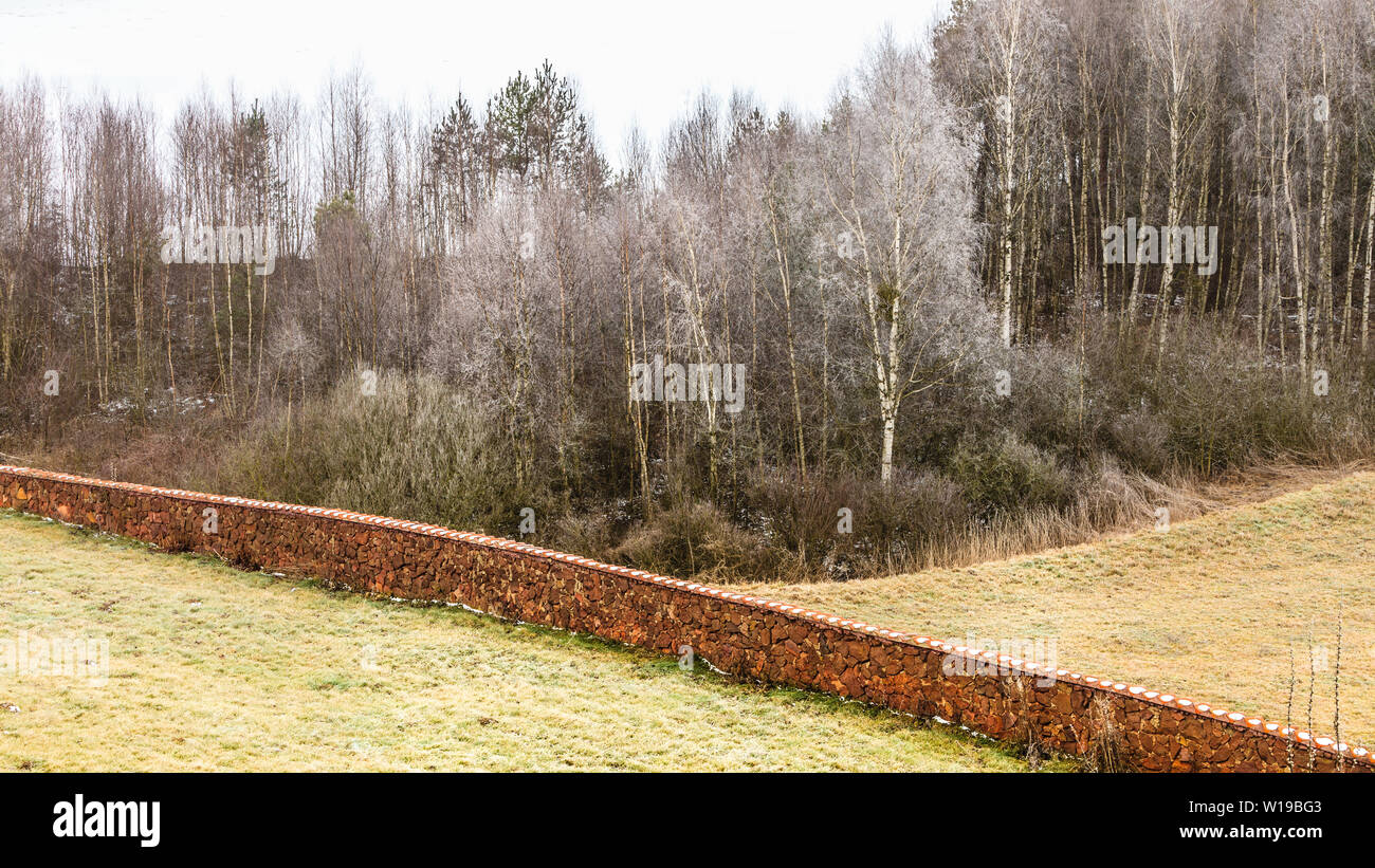 Natur, Herbst oder Winter-Landschaft. Landschaft anzeigen frostigen hügeligen Felder mit Bäumen bedeckten nebligen Tag Stockfoto