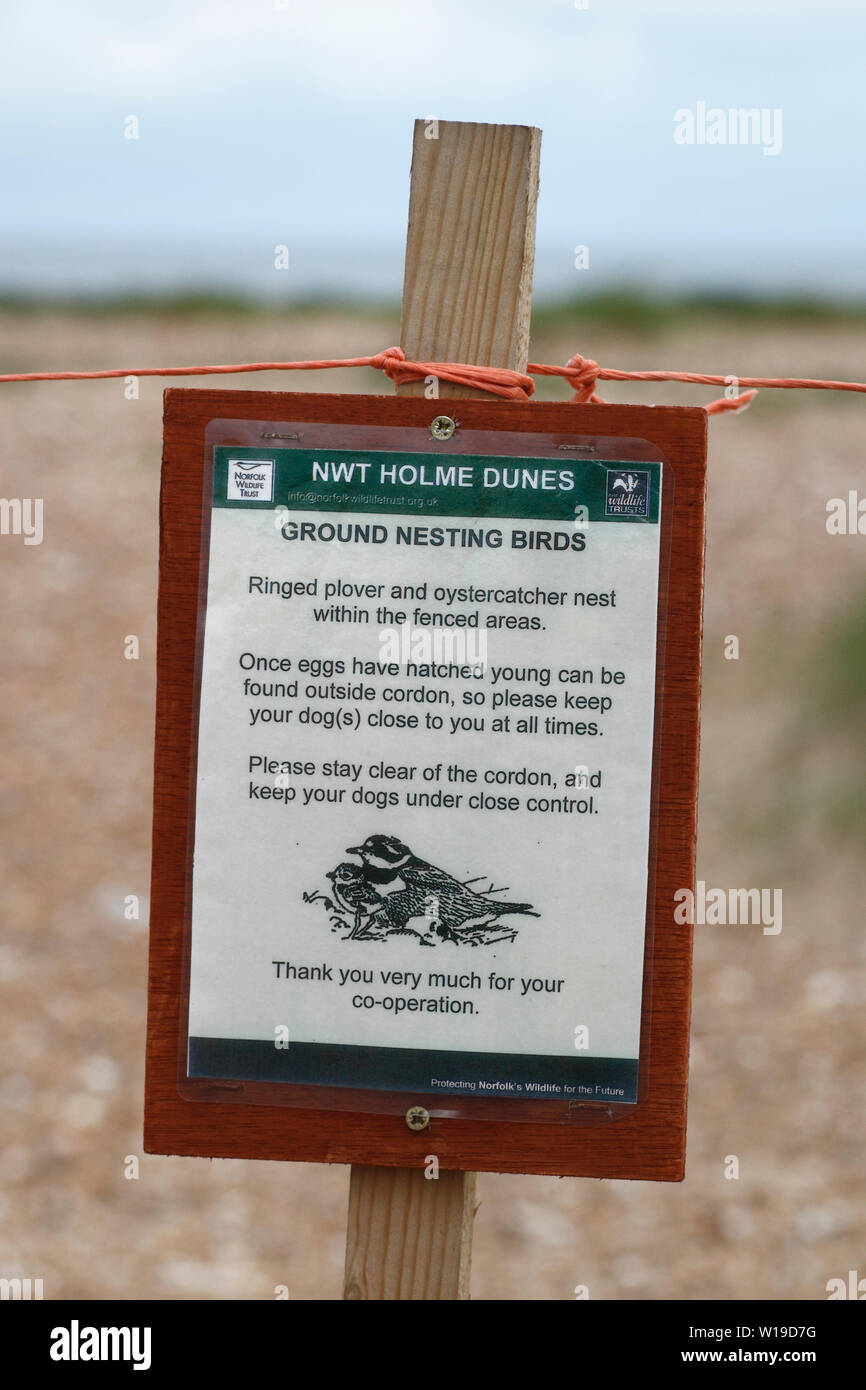 Anmelden Warnung der Vogel Brutgebiet bei Holme Dünen an der Küste von Norfolk. Stockfoto