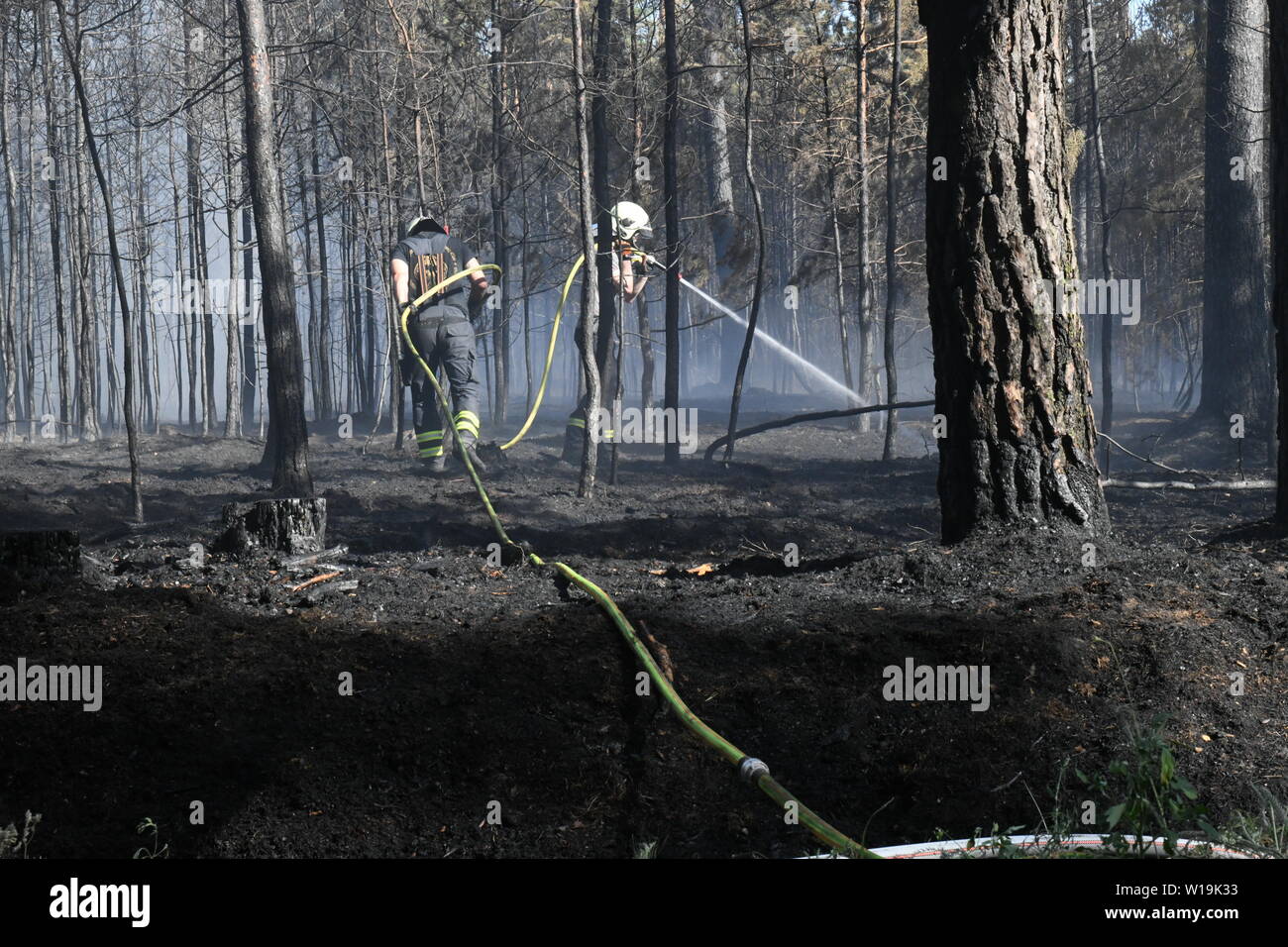 Glindow, Deutschland. 30. Juni, 2019. Feuerwehrleute versuchen, den Brand in einem Wald im Landkreis Potsdam-Mittelmark zu löschen. Entsprechend der regionalen Feuerwehr Control Center gibt es ein Feuer in der Nähe der L90. Credit: Julian 1603/dpa-Zentralbild/dpa/Alamy leben Nachrichten Stockfoto