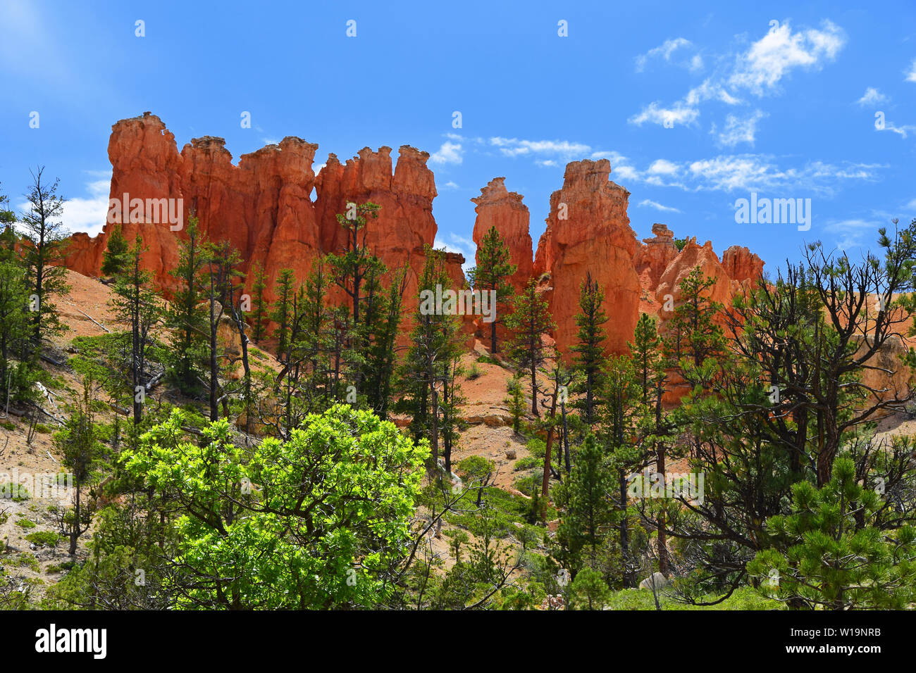 Felsformationen im Südwesten von Utah, USA Stockfoto