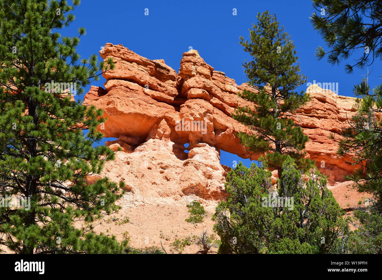 Felsformationen im Südwesten von Utah, USA Stockfoto