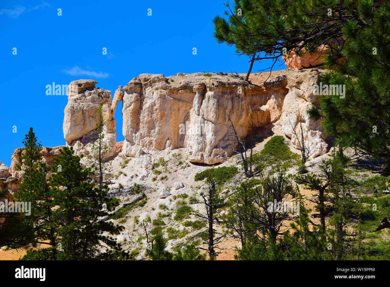 Felsformationen im Südwesten von Utah, USA Stockfoto