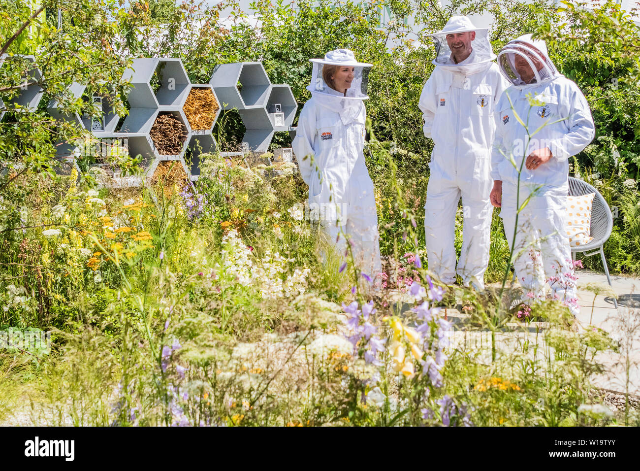 London, Großbritannien. 01. Juli, 2019. Die städtische Pollinator Garten, Lifestyle Garten - Präsentation ihrer gemeinsamen Ehrgeiz Bestäuber im gesamten Vereinigten Königreich zu retten und ihre sinkenden Zahlen halt. onny Ostern, war in seinem ganzen Körper Biene gekleidet - Anzug mit Warner trainee Imker aus RHS Garden Wisley. Es gab auch Warner G&T auf den Garten sowohl für die hart arbeitenden Team und alle Gäste genießen. Die Hampton Court Garden Festival, 2019. Credit: Guy Bell/Alamy leben Nachrichten Stockfoto