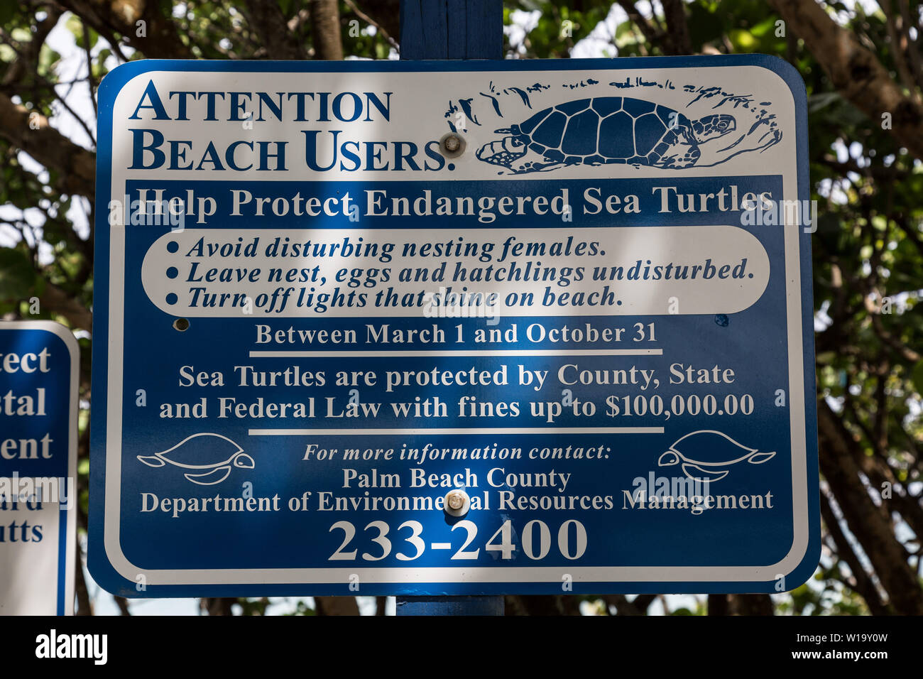 Ein Hinweisschild an Carlin Park in Jupiter, Florida Warnung Strandurlauber nicht zu Meeresschildkröten oder ihre Nester stören. Stockfoto