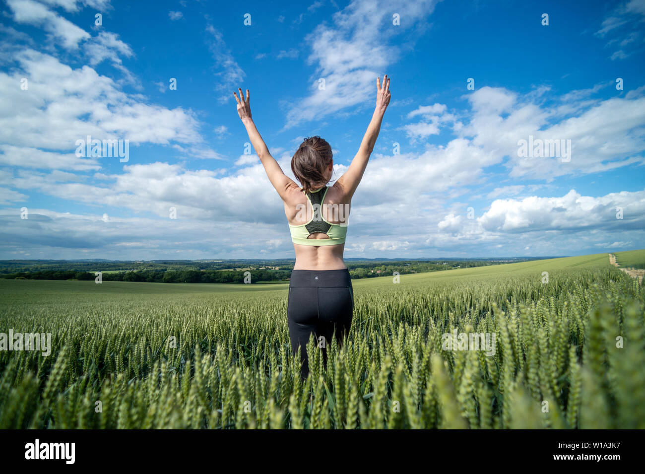 Rückansicht einer Sportlerin, die Arme angehoben, in ein grünes Weizenfeld. Stockfoto