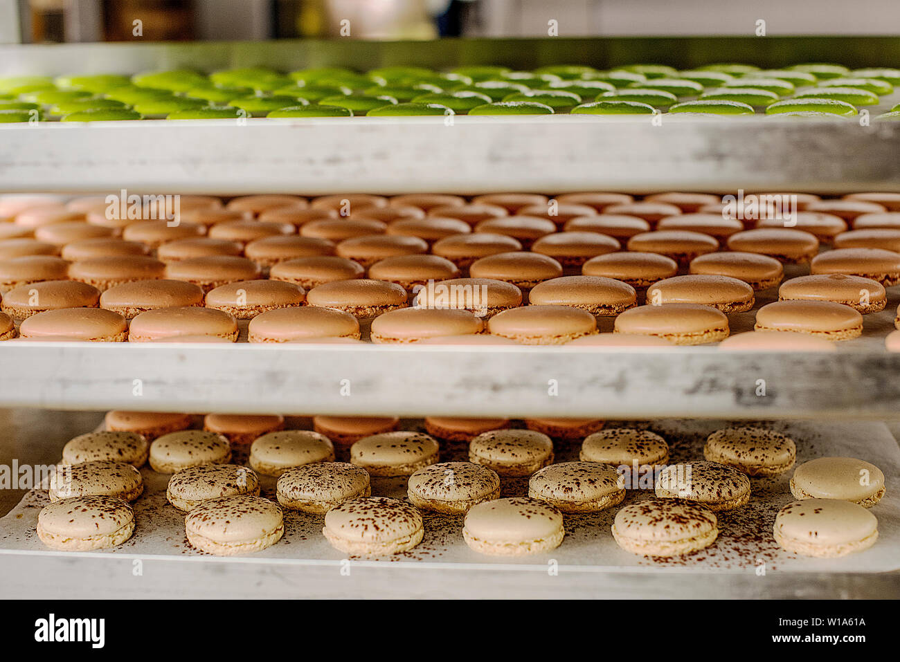 Schalen von gekochten Macaron Schalen in einer gewerblichen Bäckerei Stockfoto