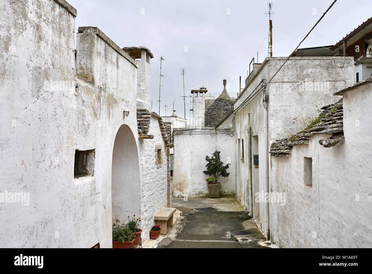 Historische Straße mit Trulli in Alberobello Stadt in Italien. Es gibt Kamine und TV Antennen auf den Dächern, Pflanzen in den Töpfen auf dem Boden. Stockfoto