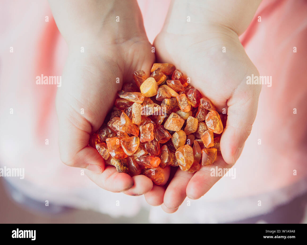 Junge Mädchen Holding orange gelb Stapel der Baltischen Bernstein oder succinite rohe Chips in Palms Hände, selektive konzentrieren. Für die Herstellung von Schmuck. Stockfoto