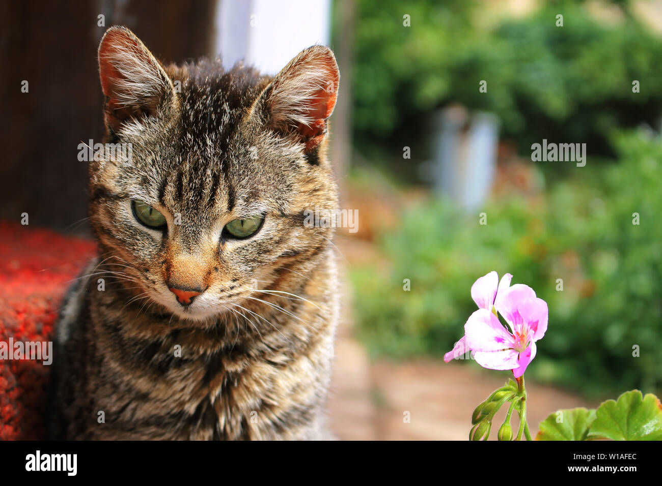 Denken... Stockfoto