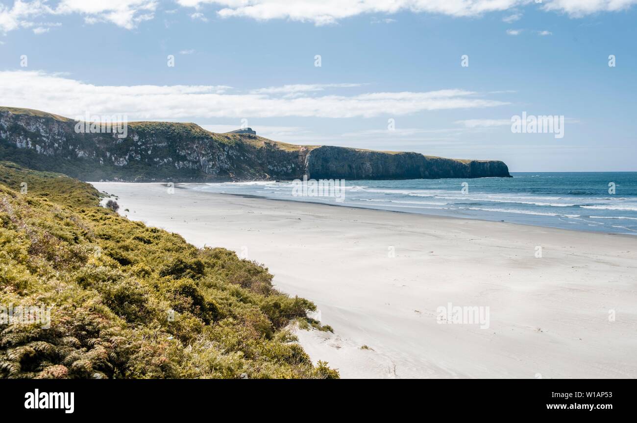 Küste mit weißen breiten Sandstrand, Wickliffe Bay, Otago Peninsula, Dunedin, Neuseeland Stockfoto