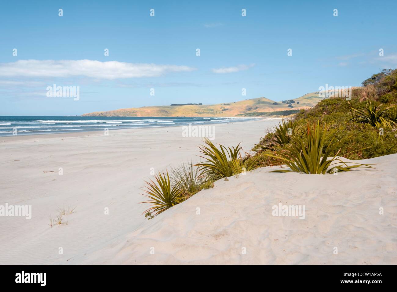 Küste mit weißen breiten Sandstrand, Wickliffe Bay, Otago Peninsula, Dunedin, Neuseeland Stockfoto