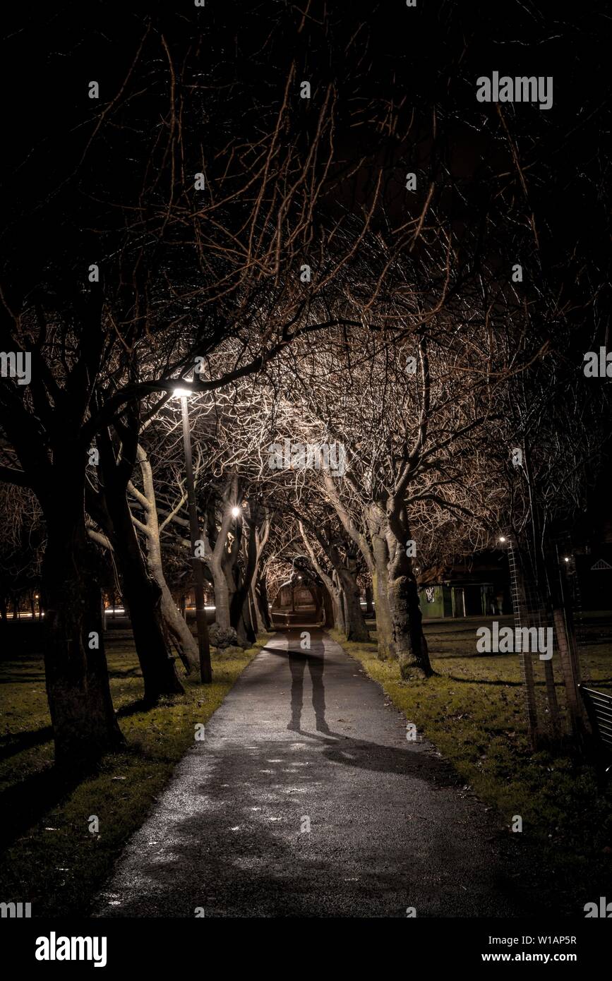 Geisterhafte Silhouette einer dunklen Person auf einen Pfad durch eine Allee an der Nacht, trübe Stimmung, Krönung Spaziergang im Meadows Park, Edinburgh, Schottland Stockfoto