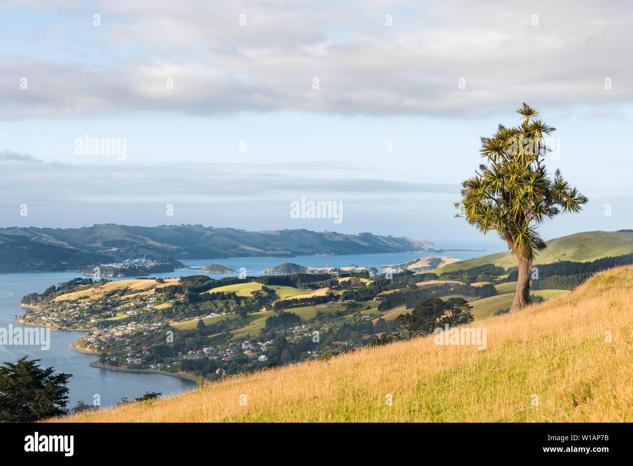 Natürliche Hafen Otago Hafen, Bucht mit hügeliger Landschaft, Otago Peninsula, Dunedin, Neuseeland Stockfoto
