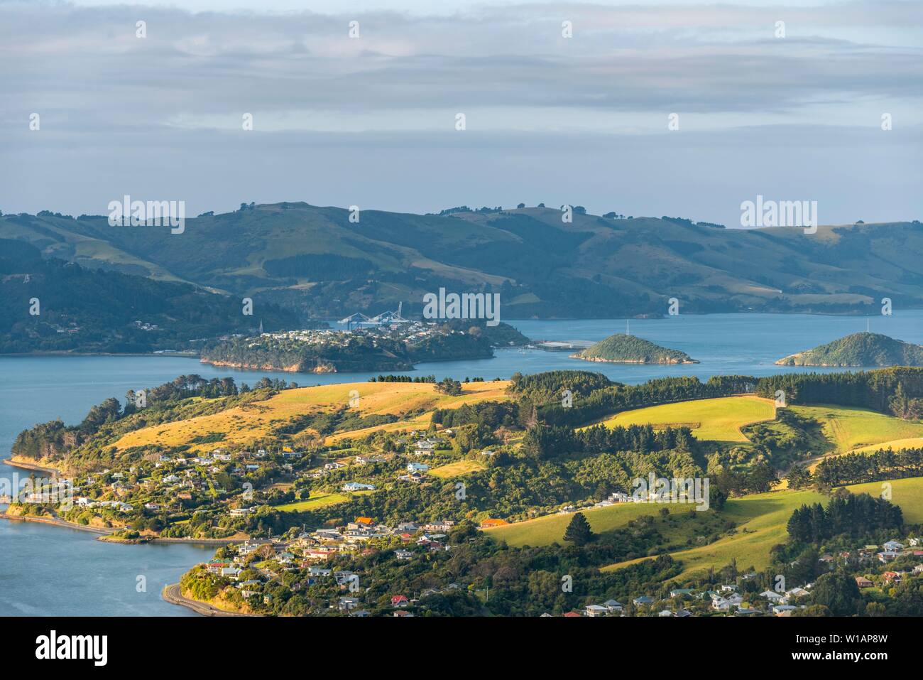 Natürliche Hafen Otago Hafen, Bucht mit hügeliger Landschaft, Otago Peninsula, Dunedin, Neuseeland Stockfoto