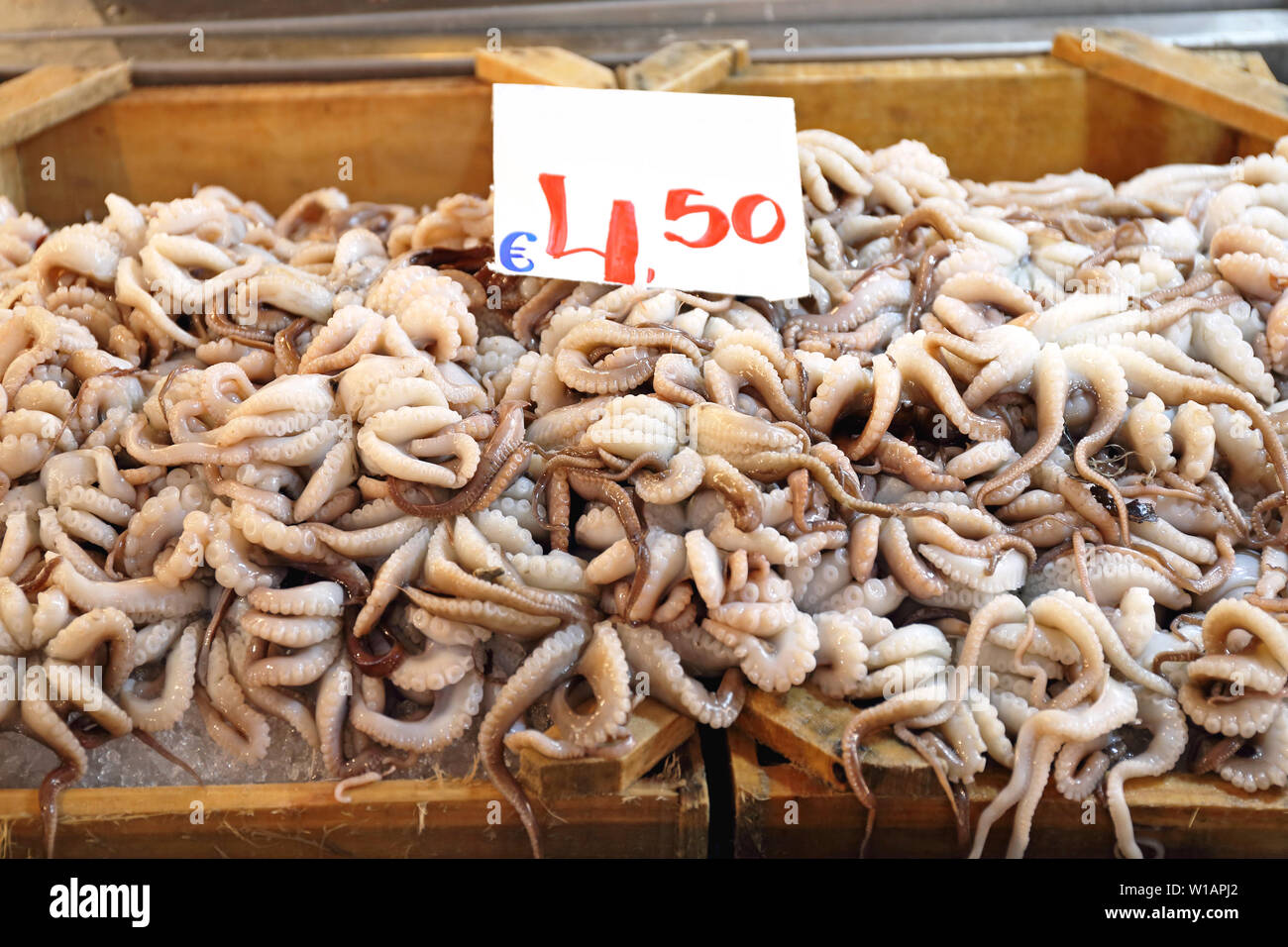 Paar kleine Krake am Fischmarkt Stockfoto