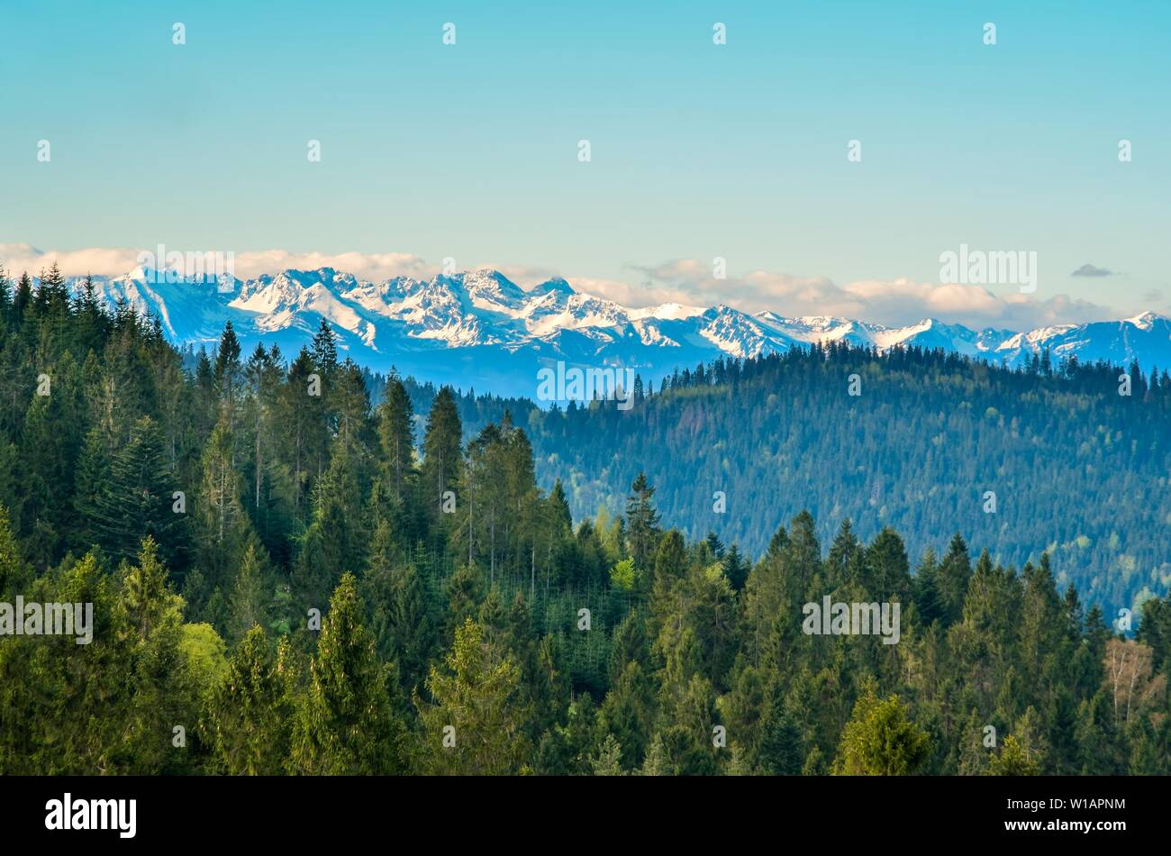 Schöner Frühling Berglandschaft. Die schneebedeckten Berge, über grüne Hügel. Stockfoto
