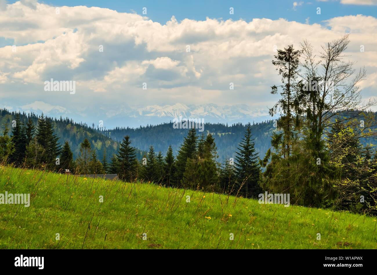 Schöner Frühling Berglandschaft. Grüne Wiesen und Wälder auf den Hügeln. Stockfoto