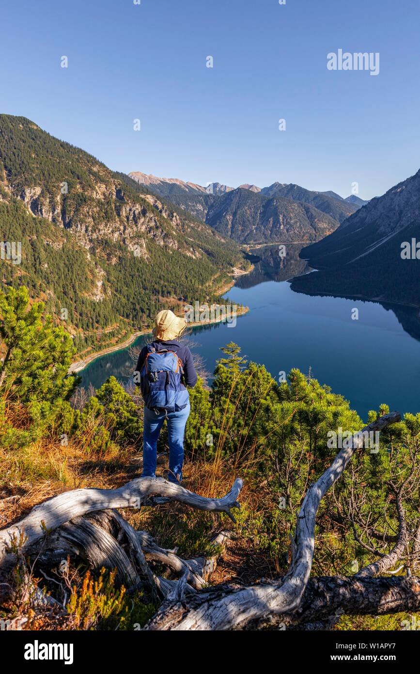 Weibliche Wanderer in die Ferne schaut, hinter Schonjochl, Plansee, Ammergauer Alpen, Bezirk Reutte, Tirol, Österreich Stockfoto