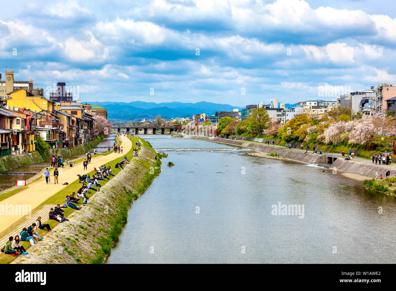 Am Fluss Kamogawa (Kamogawa) in Kyoto, Japan Stockfoto