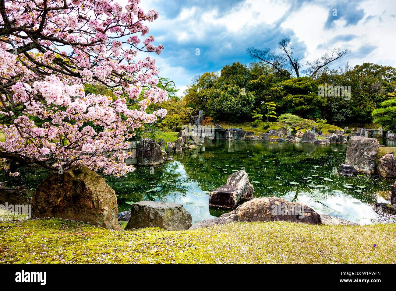 Ninomaru Teich und Graden und Gärten mit Cherry Blossom Bäumen neben Ninomaru Palace im Schloss Nijo, Kyoto, Japan Stockfoto