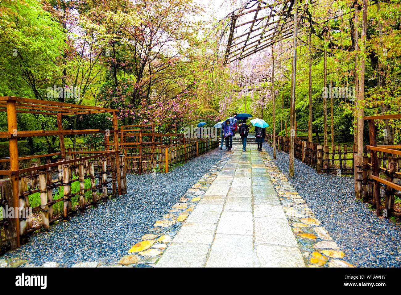 Pergola Anlage unterstützt und Touristen zu Fuß mit Sonnenschirmen im Regen an der Ryoanji-tempel, Kyoto, Japan Stockfoto