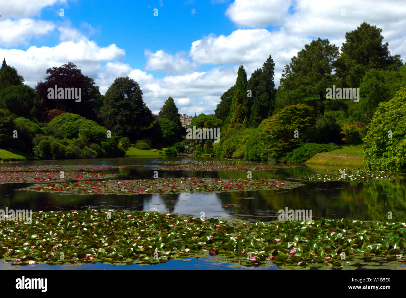 Sheffield Park und Gärten, Brücke und Wasserfall Stockfoto