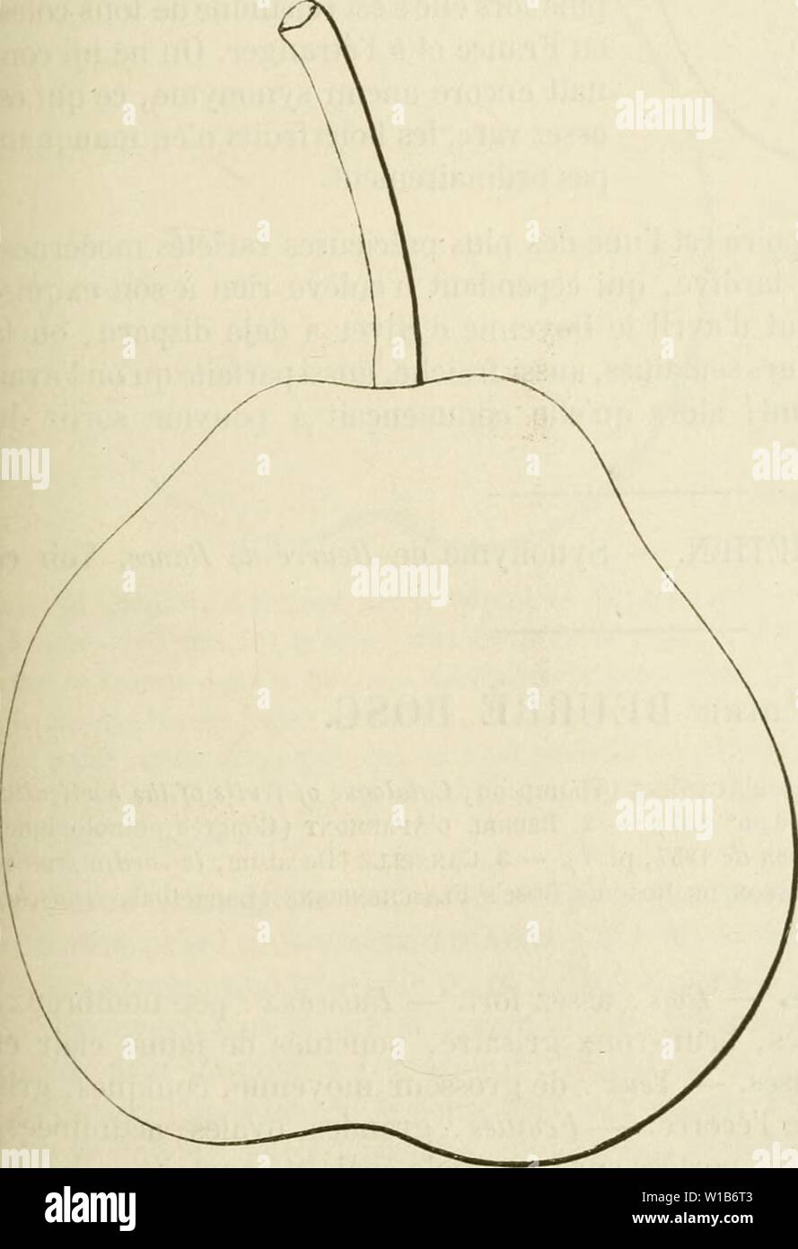 Archiv Bild ab Seite 328 von Wörterbuch de pomologie, Contenant l'histoire,. Wörterbuch de pomologie, Contenant l'histoire, la Description, la Abbildung des Früchte Früchte anciens et des modernes les plus gÂnÂralement connus et cultivÂs. dictionnairedepo 01 lero Jahr: 1867 beurrÃ BEU [Bol] 319 Beschreibung du Obst. Â: Grosseur moyenne. Â Forme: turbinÃe, stumpf, ventrue. Â PÃdoncule: Gericht, Assez gros, arquÃ, charnu à la base, en partie der ALG-II-Fortzahlung avec Le Obst, obliquement implantÃ. Â Åil: Große, Bien ouvert, trÃ¨s-dÃveloppÃ, Presque saillant. Â Peau: jaune verdÃ tre, ponctuÃe, striÃe, Ma Stockfoto