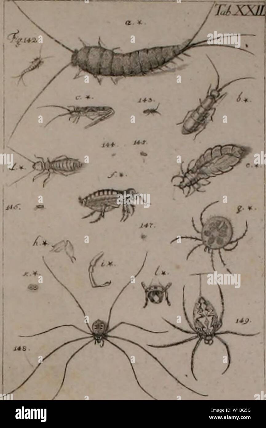 Archiv Bild ab Seite 394 der Kennzeichen der Kämpfen sterben. Die Kennzeichen der Kämpfen: / Anleitung des Königl. Schwed. Ritters und Leibarzts Karl von Linné, durch XXIV Kupfertafeln erläutert und mit derselben natürlichen / begleitet. diekennzeichende 00 sulz Jahr: 1761 m. jprEiiA. Stockfoto