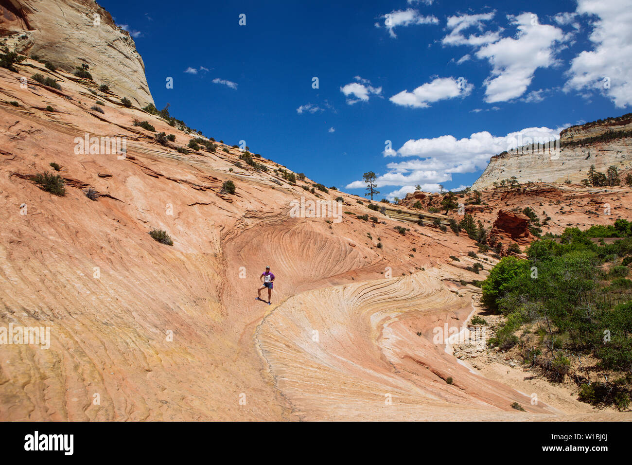 Eine Frau auf den Linien im Navajo Sandstein Felsformationen gebildet Posing, Zion National Park, Utah, USA Stockfoto