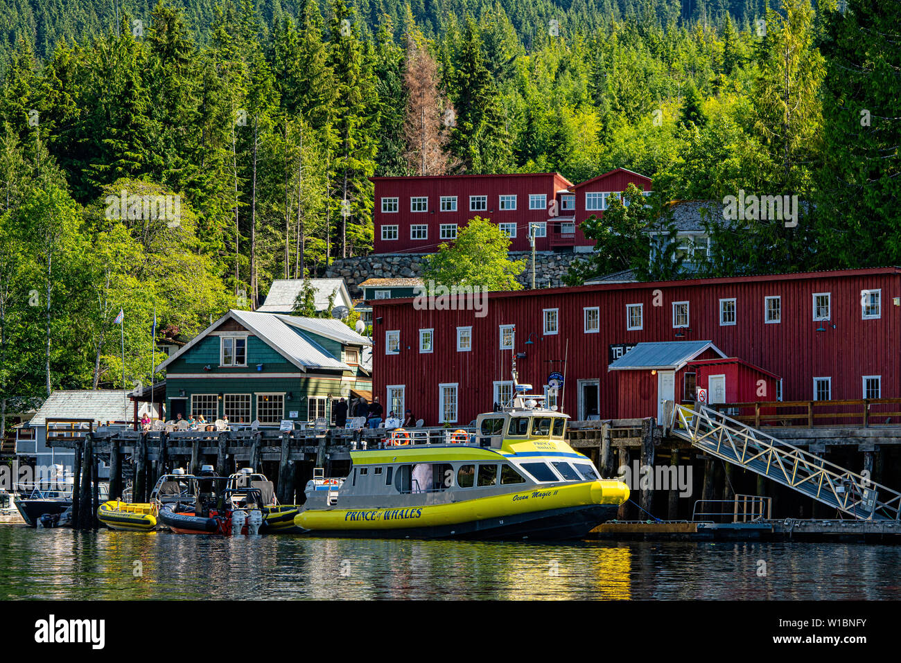 Telegraph Cove Cove mit dem "Ocean Magic' Whale Watching Boot auf dem Dock neben dem Whale Interpretive Center, ein Muss Touristenattraktion auf n Siehe Stockfoto