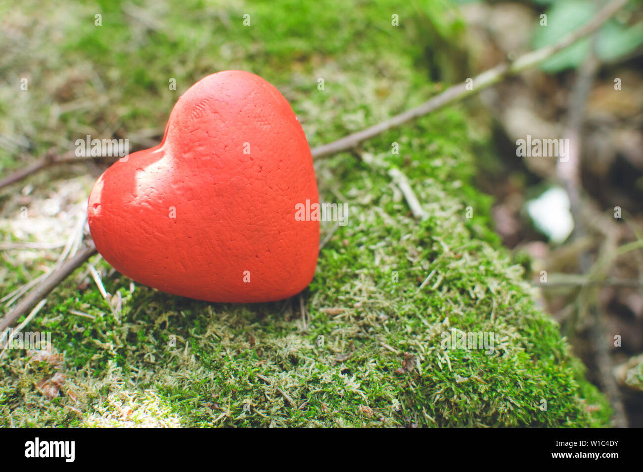 Liebe Konzept. Rote dekorative Herzen im Wald. Tag der Geber Stockfoto