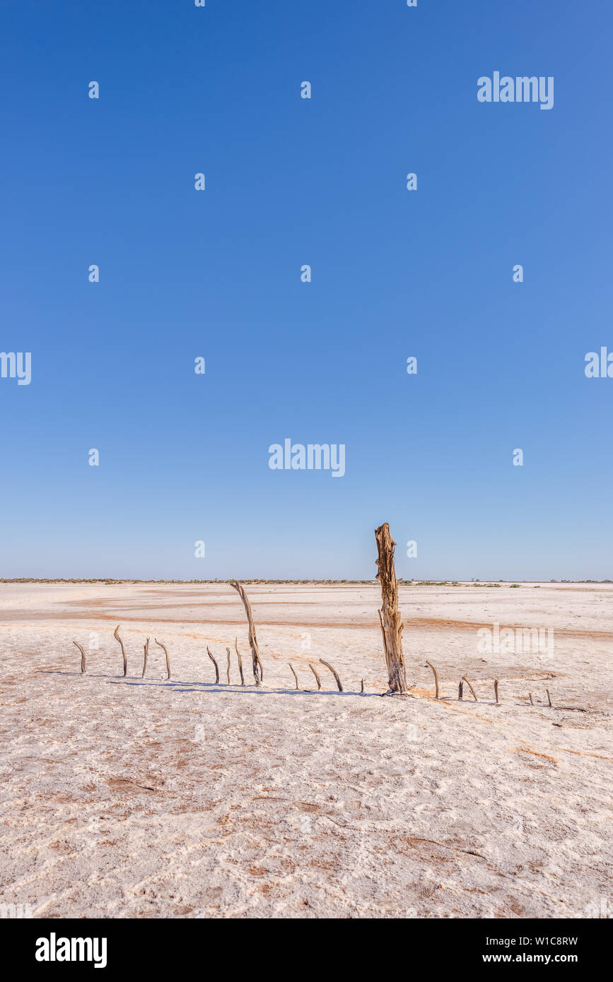 See Tyrrell Salt Lake Rural Victoria Australien Stockfoto