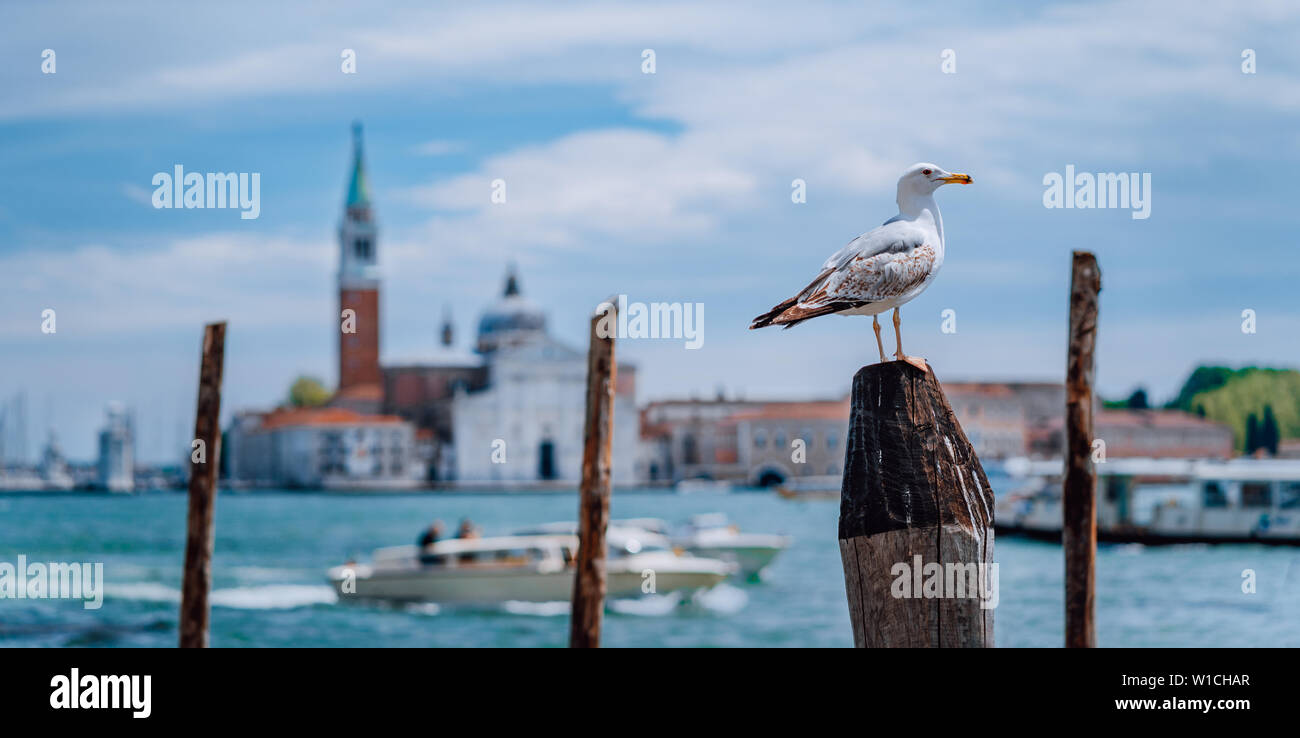 Malerischer Blick auf unscharf Venedig Panorama von Venedig der Bahndamm mit Möwe vor. Populärste touristische Attraktion, Sommer citytrip Urlaub in Stockfoto